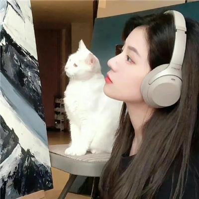 百鸟朝凤